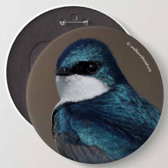Handsome Tree Swallow: Bird on a Wire 6 Inch Round Button (Front & Back)