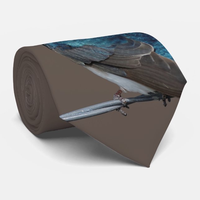 Handsome Tree Swallow: Bird on a Wire Tie (Rolled)