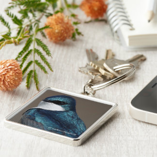 Handsome Tree Swallow Songbird on a Wire Keychain