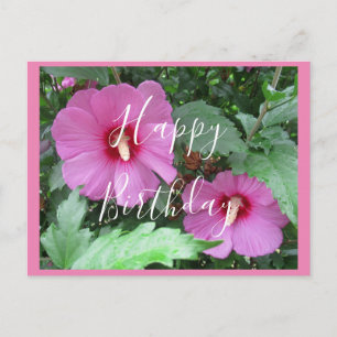 Handwritten Pink Rose of Sharon Photo Birthday Postcard