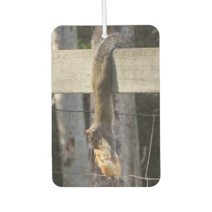Hang In There Baby - Squirrel - Air Freshener