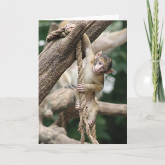 Hang in there card (Front)