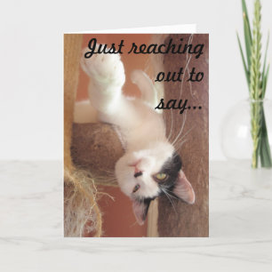 Hang in there! Cat Greeting Card