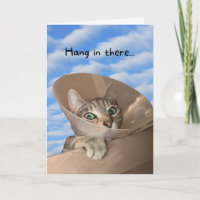 Hang In There Cat in Cone Funny Get Well