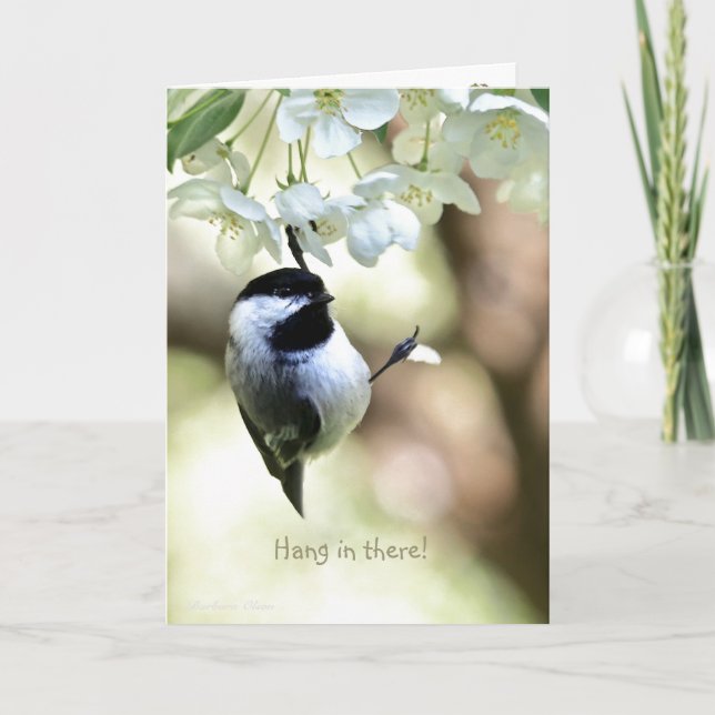 Hang in there!-Encouragement/Get-Well: Card (Front)