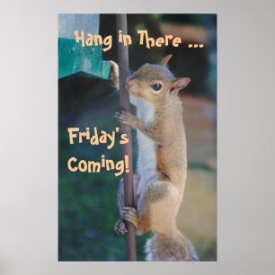 Hang in There, Friday'sComing! Squirrel Poster