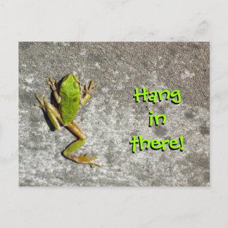 Hang in There Frog Postcard