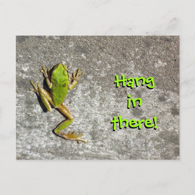 Hang in There Frog Postcard (Front)
