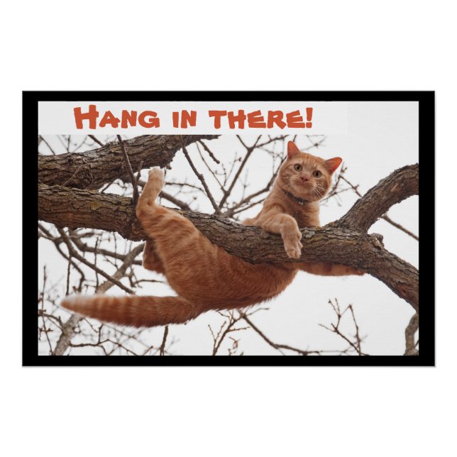 Hang in there! - Ginger cat holding on tight Poster (Front)