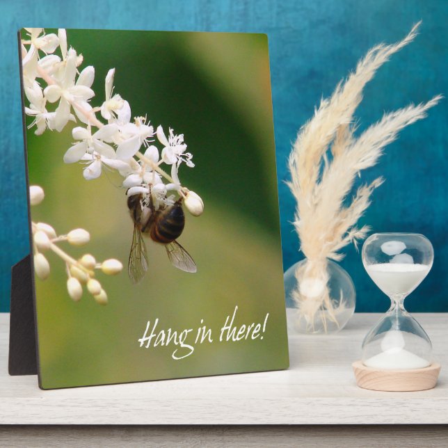 "Hang in There" Motivational Plaque (Side)