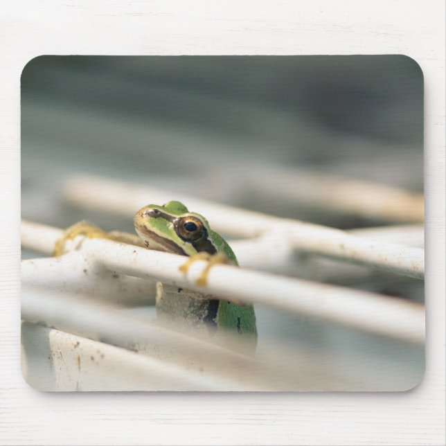 Hang in there! mouse pad (Front)