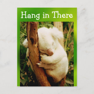 hang in there postcard