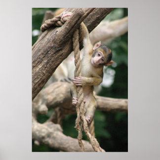 Hang in there poster