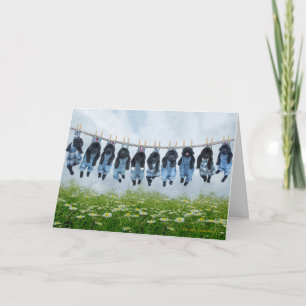 Hang in there puppy greeting card