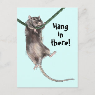 Hang In There Rat Blue Background Postcard