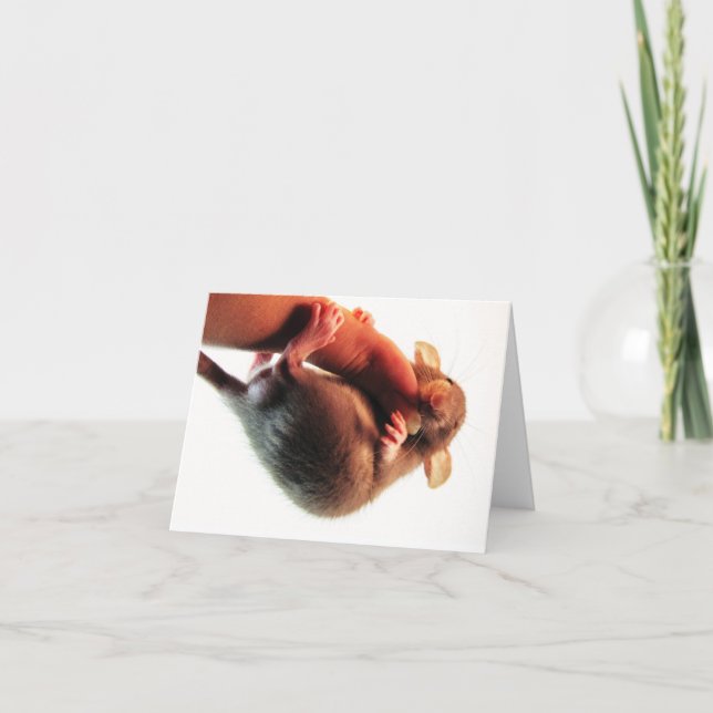 Hang in There Rat Card (Front)