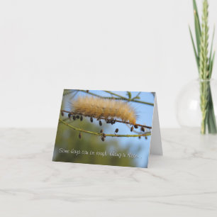 Hang in There... Thinking of You Card