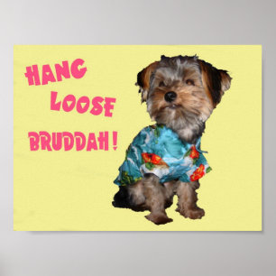 HANG LOOSE BRUDDAH POSTER
