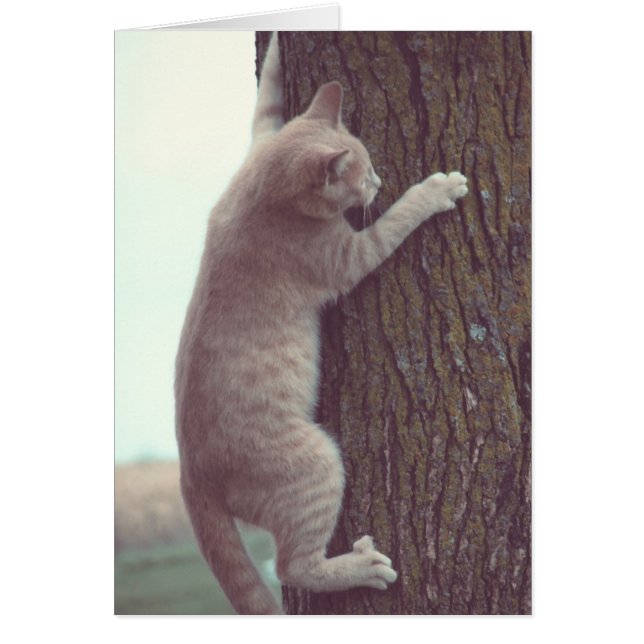 Hang On (Front)