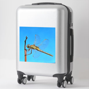 Hang On In There Artistic Dragonfly
