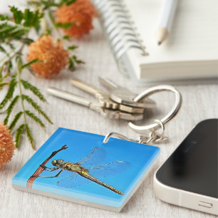 Hang On In There Artistic Dragonfly Keychain