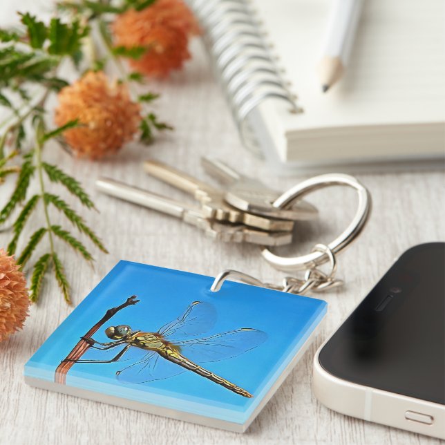 Hang On In There Artistic Dragonfly Keychain (Front Right)