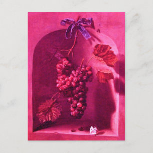 HANGED GRAPES Antique Viticulture,Rustic Vineyard Postcard