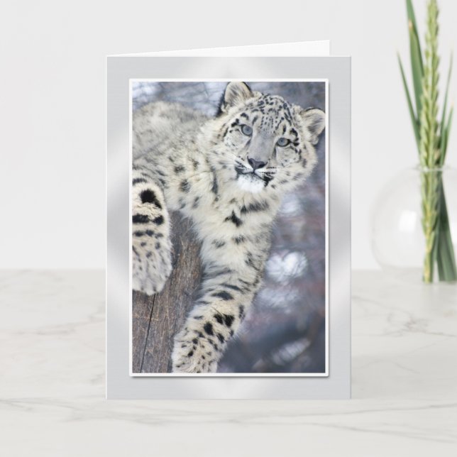 Hangin' Around....(w/border) Card (Front)