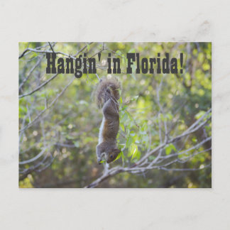 Hangin' in Florida Postcard