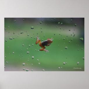 Hangin' On Poster
