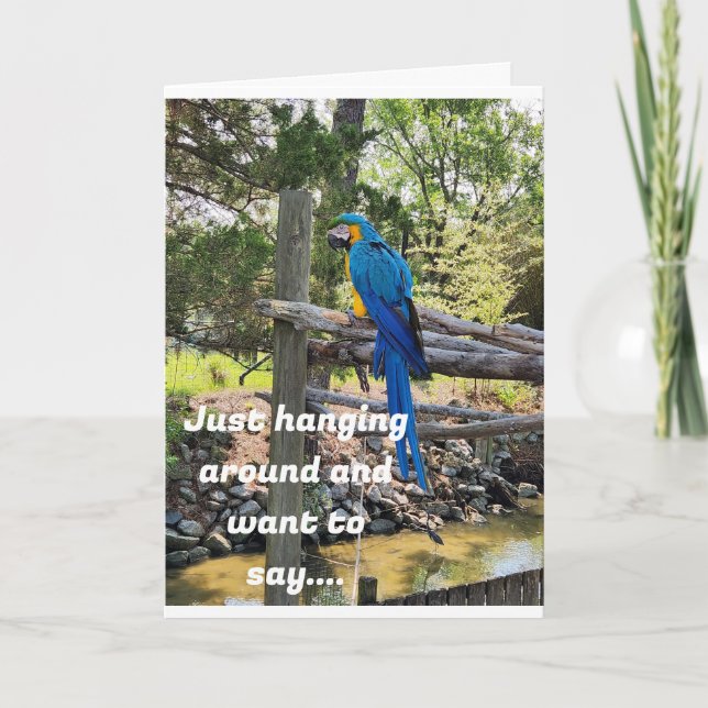 HANGING AROUND AND WANT TO SAY HAPPY BIRTHDAY CARD (Front)