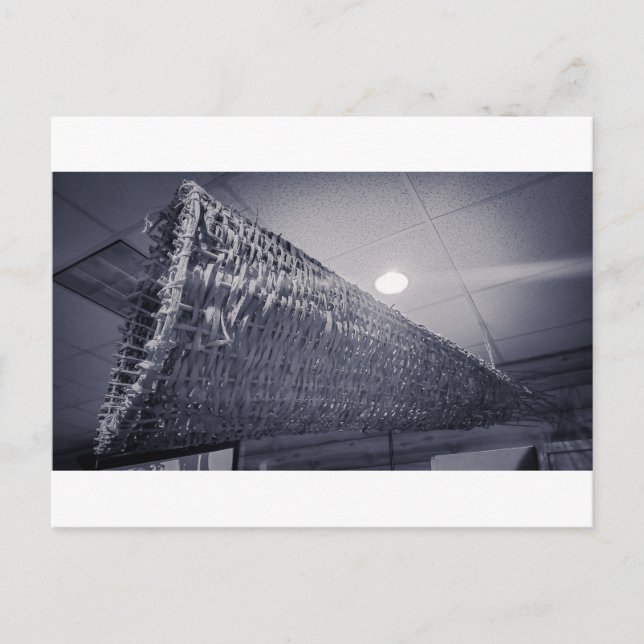 Hanging Art Installation Postcard (Front)