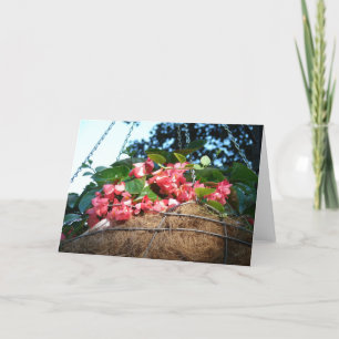 Hanging Basket in the Park Card