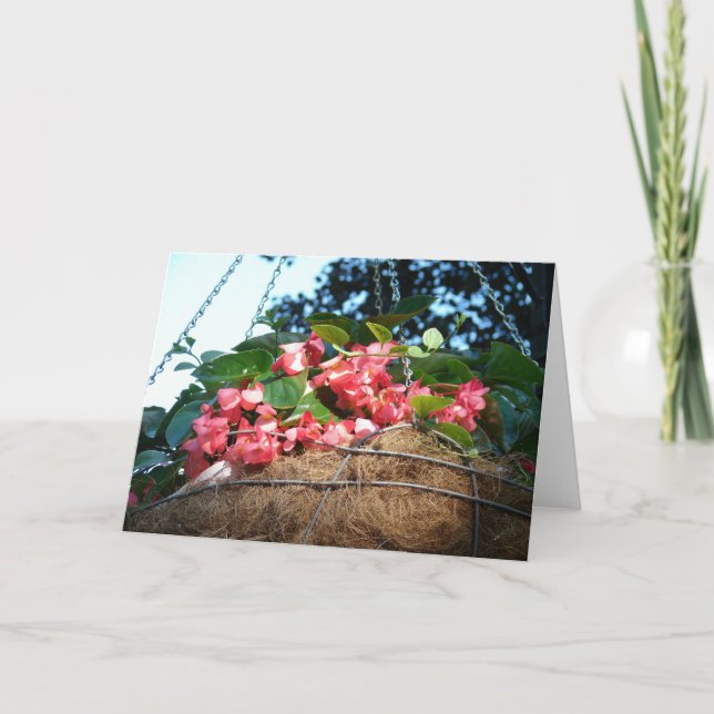 Hanging Basket in the Park Card (Front)