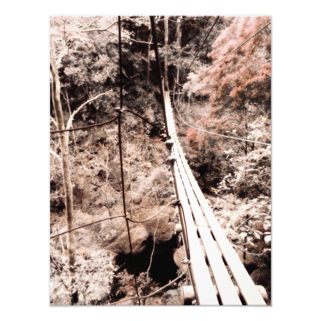 hanging bridge photo print (Front)