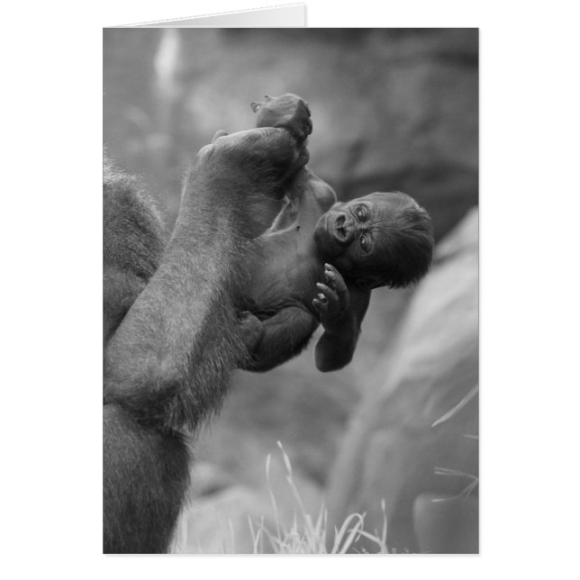Hanging Gorilla Baby (Front)