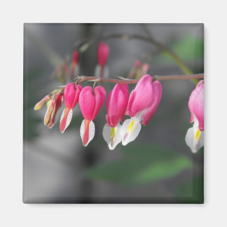 Hanging Hearts Magnet