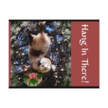 Hanging In There ! Carte postale de Christmas