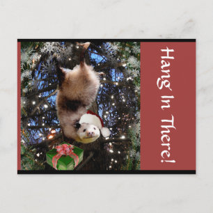 Hanging In There ! Carte postale de Christmas