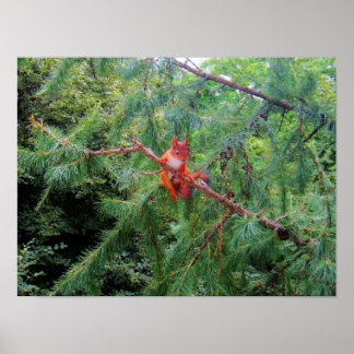 Hanging in There Poster