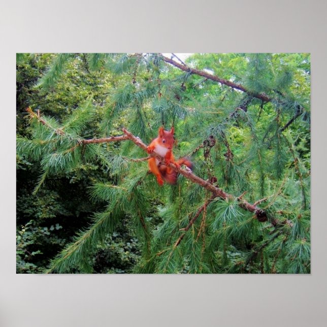 Hanging in There Poster (Front)