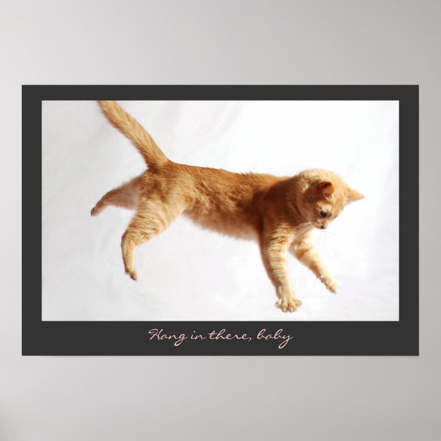 Hanging In There Poster (Front)