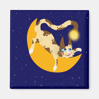 HANGING ON THE MOON MAGNET