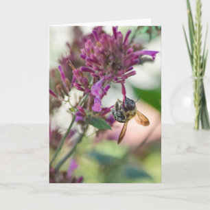 Hanging onto Hummingbird Mint Card