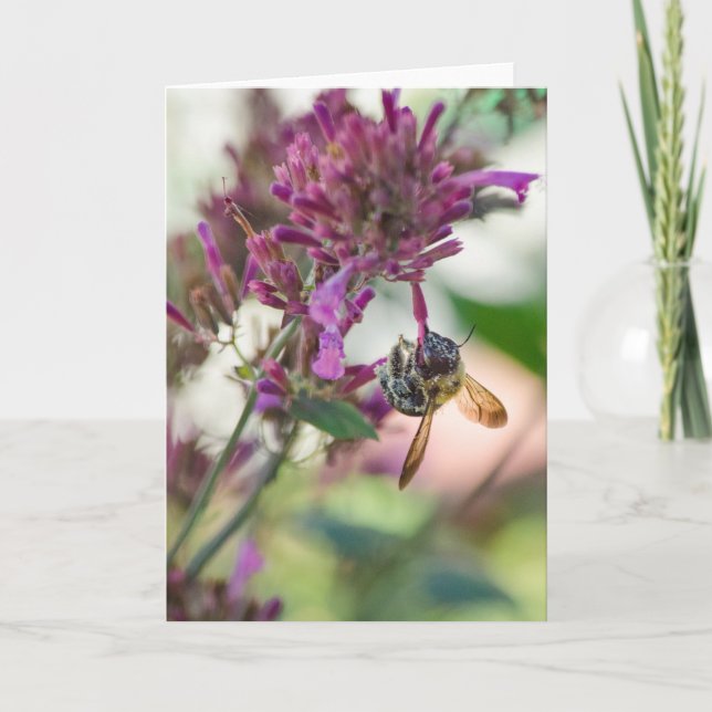 Hanging onto Hummingbird Mint Card (Front)