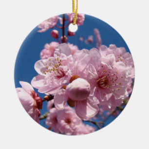 Hanging Ornaments gifts Pink Spring Tree Blossoms