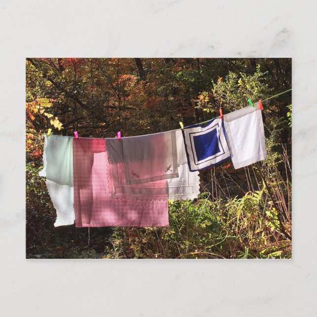 "Hanging Out" No.1 POSTCARD Clothesline (Front)