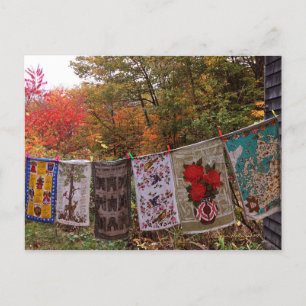 "Hanging Out" No. 2  Postcard Vintage Clothesline