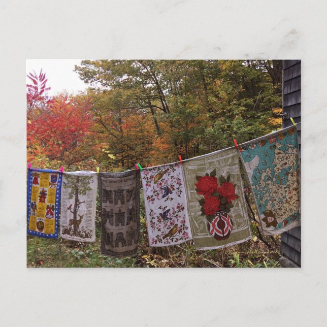 "Hanging Out" No. 2  Postcard Vintage Clothesline (Front)
