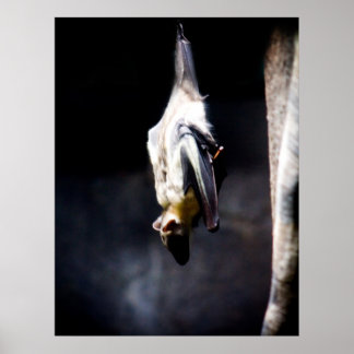 Hanging out poster